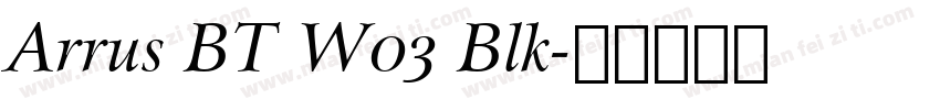 Arrus BT W03 Blk字体转换